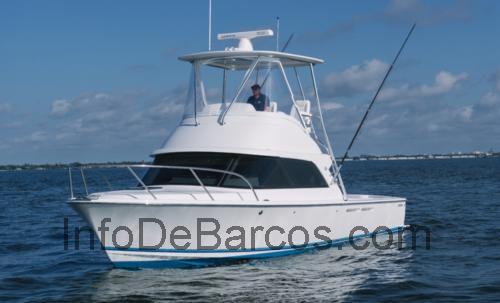 Bertram Yachts 35 opinión y ficha técnica